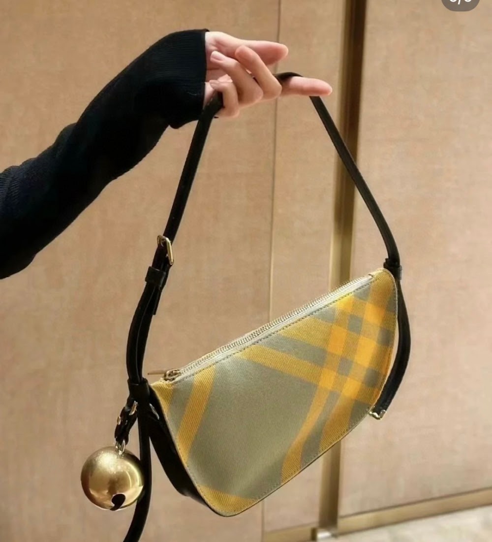 Dragons Bags Burberryn Luxury Bag --92119