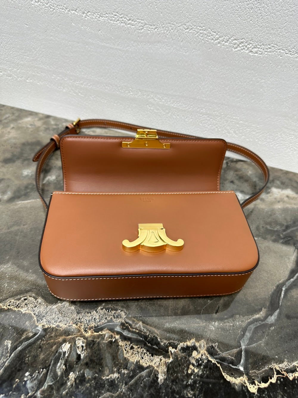Dragons Bags Celine Luxury Bag --112423