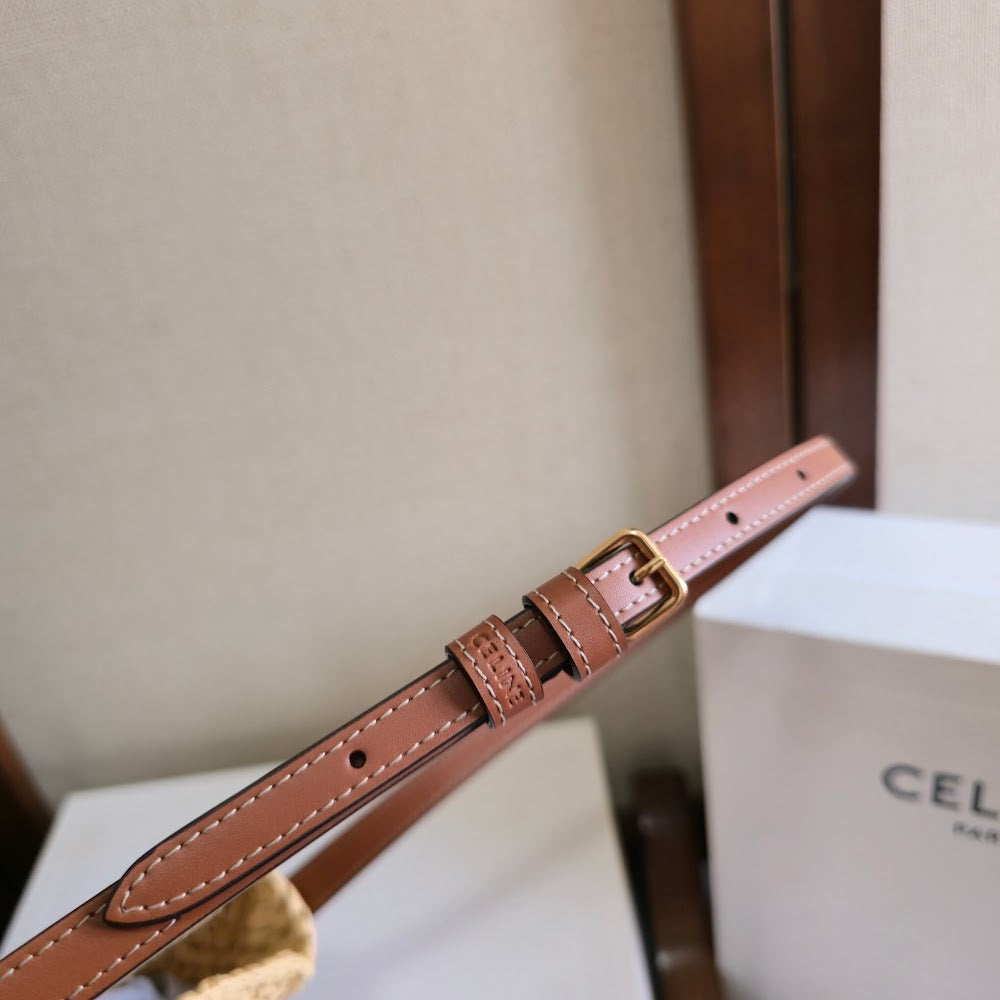 Dragons Bags Celine Luxury Bag --112504