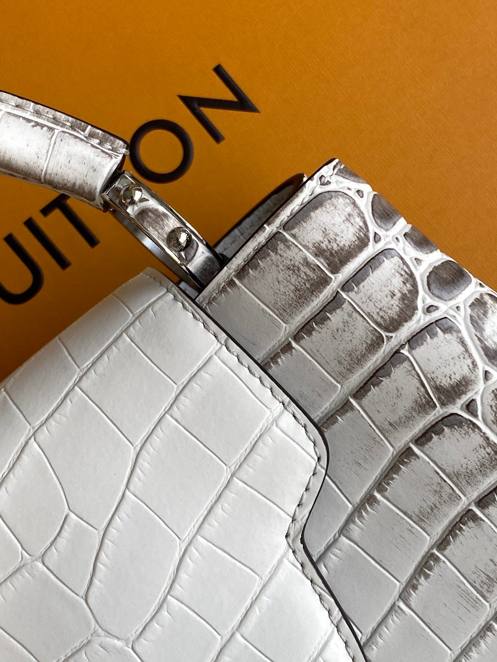 Dragons Bags ln Luxury Bag --96257
