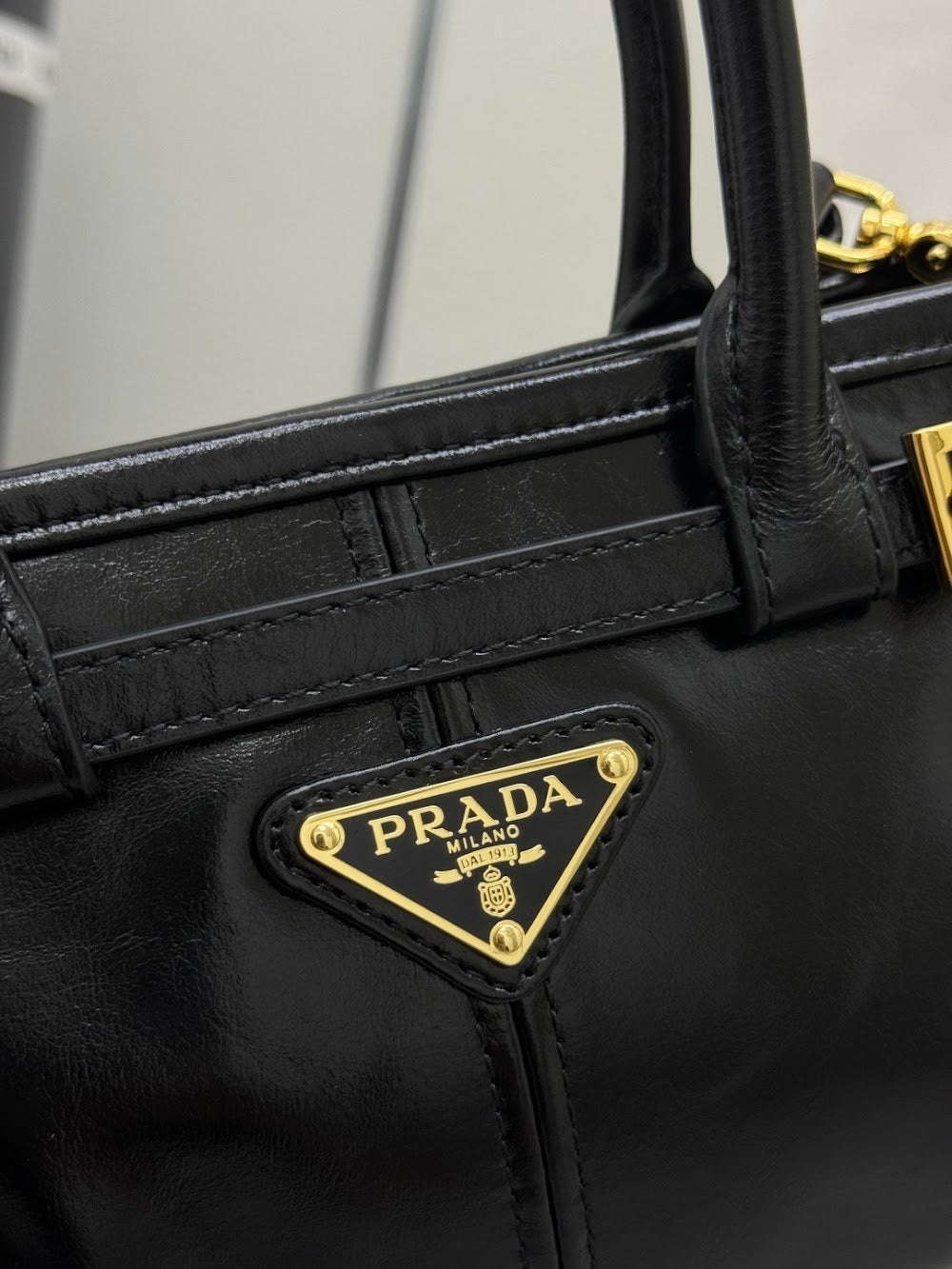 Dragons Bags Pradn Luxury Bag --101385