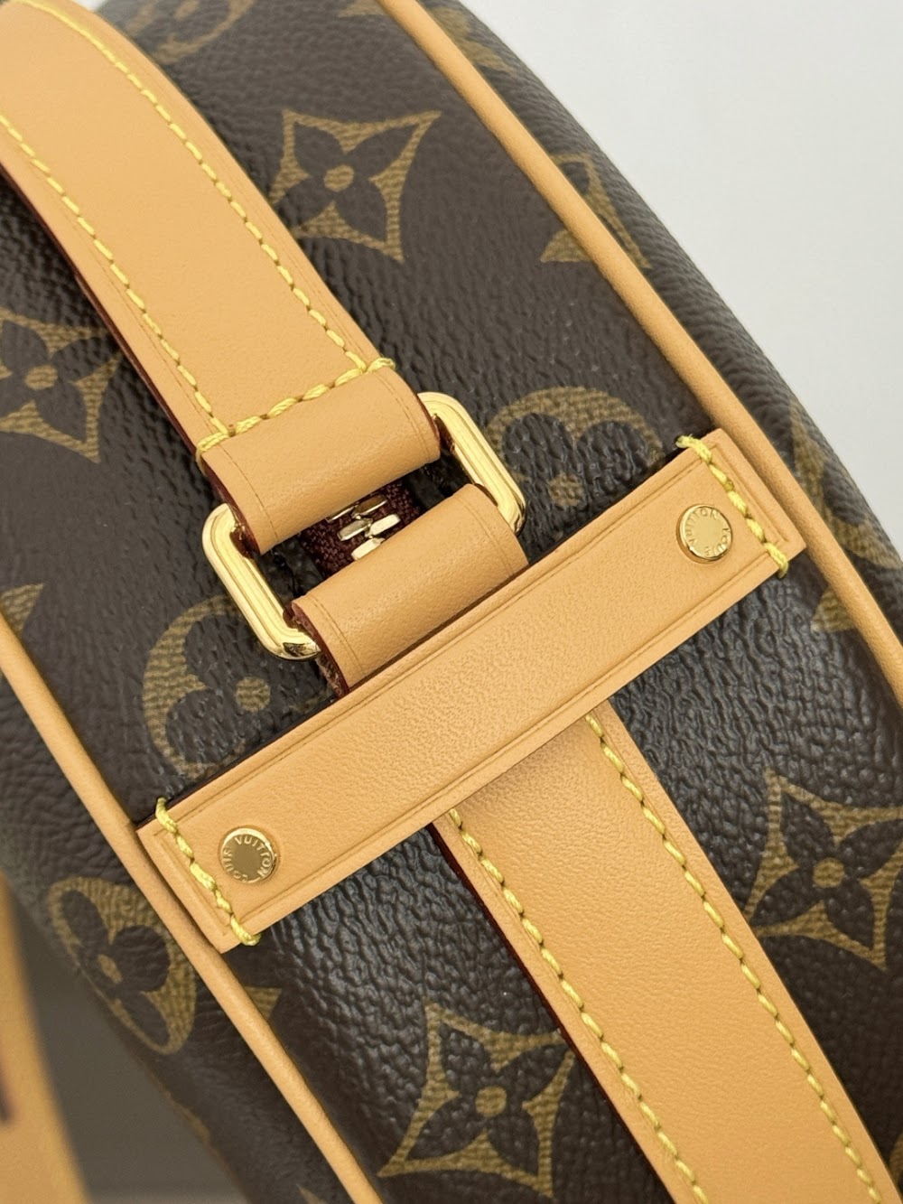 Dragons Bags ln Luxury Bag --96284