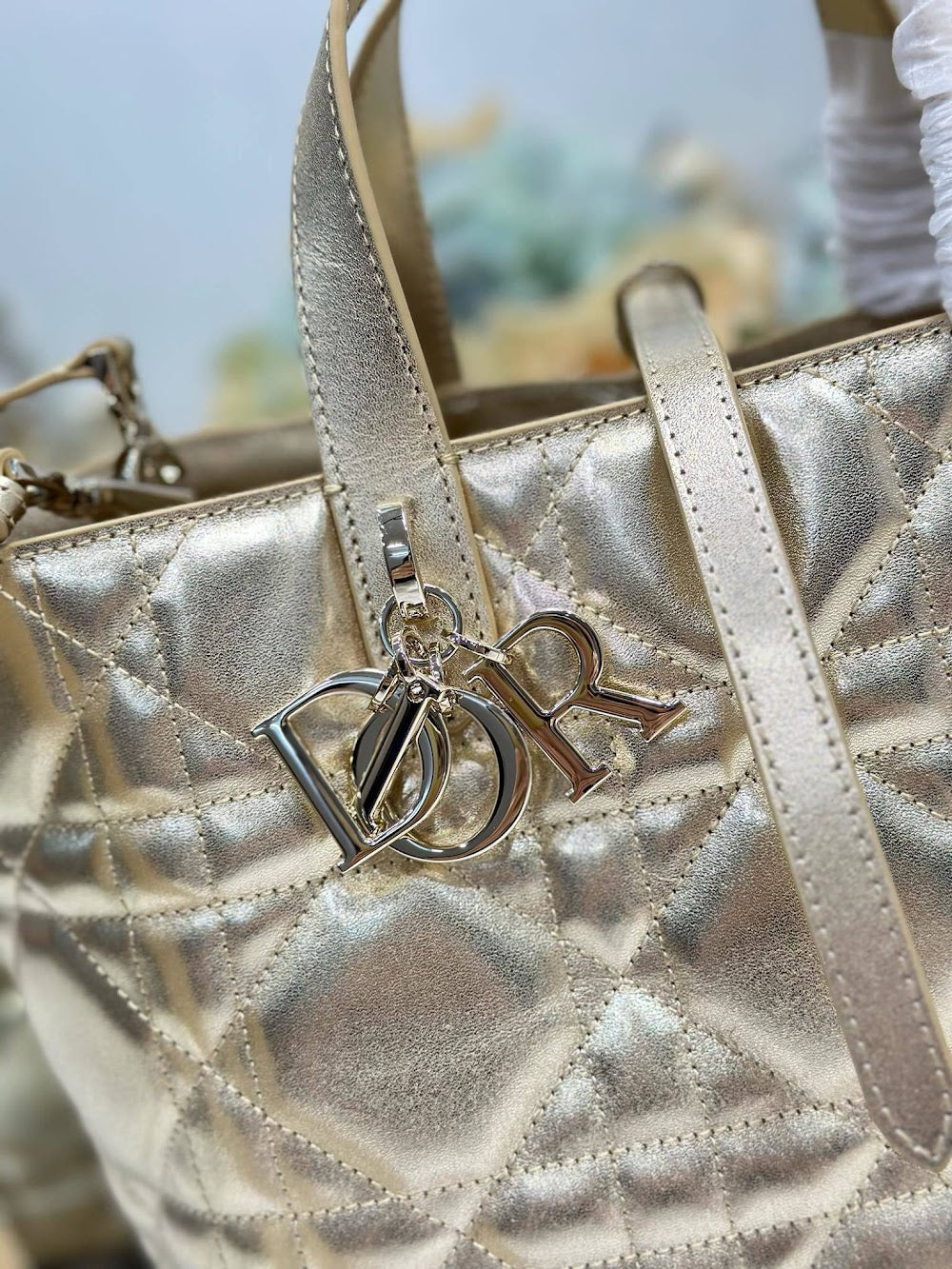 Dragons BagsDiorn Luxury Bag --115517