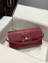 new-designer-premium-bags-nm6905