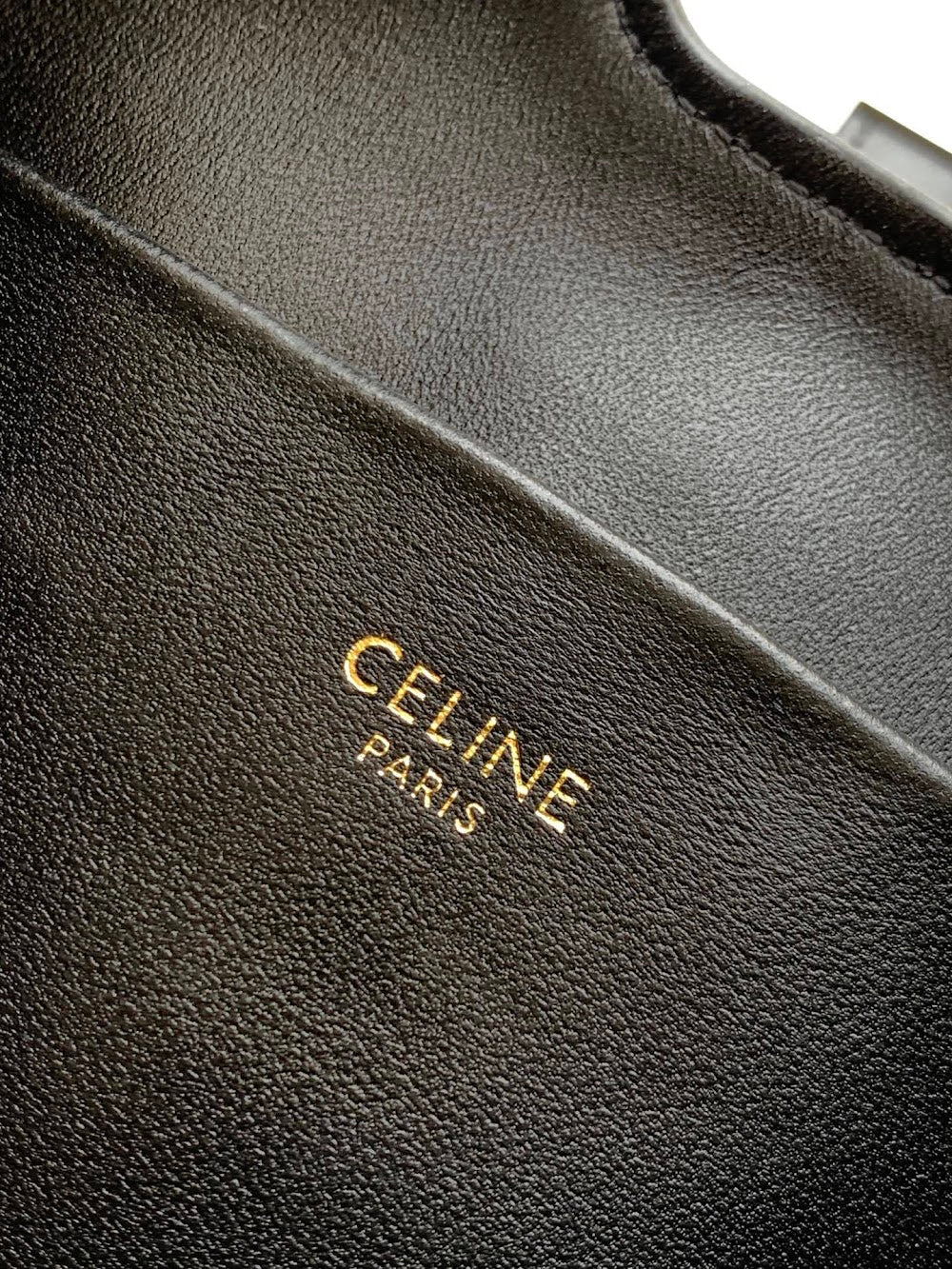 Dragons Bags Celine Luxury Bag --112088
