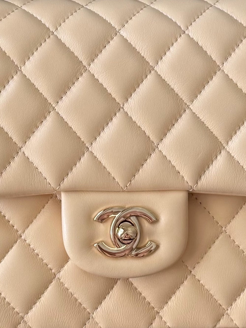 Dragons Bags CHn Luxury Bag --112966