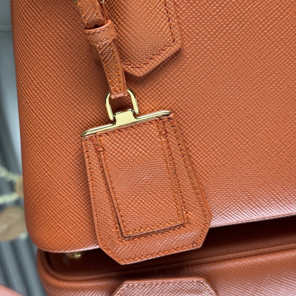 Dragons Bags Pradn Luxury Bag --102319