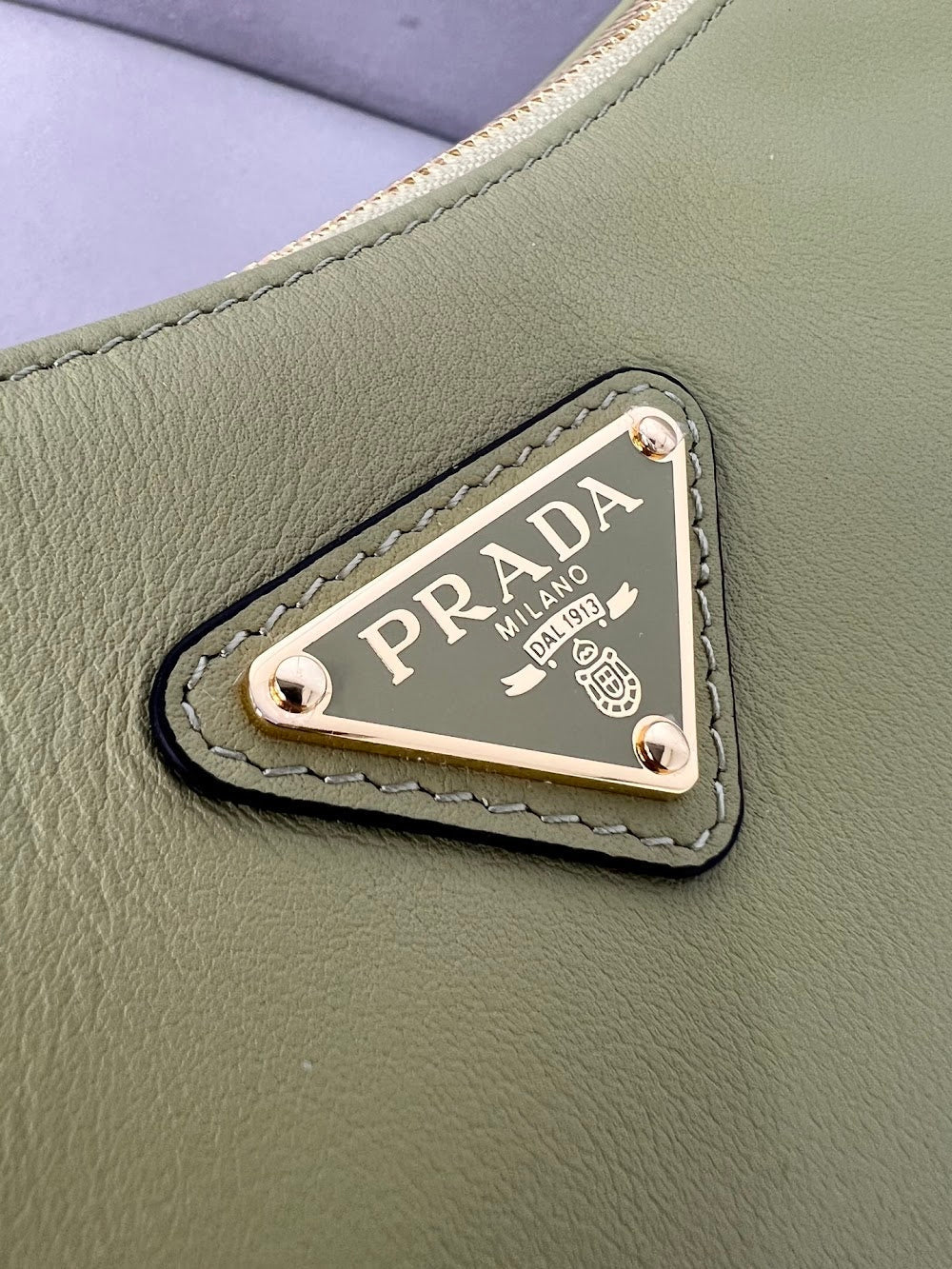 Dragons Bags Pradn Luxury Bag --102564