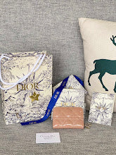 new-luxury-designer-bags-nm7546