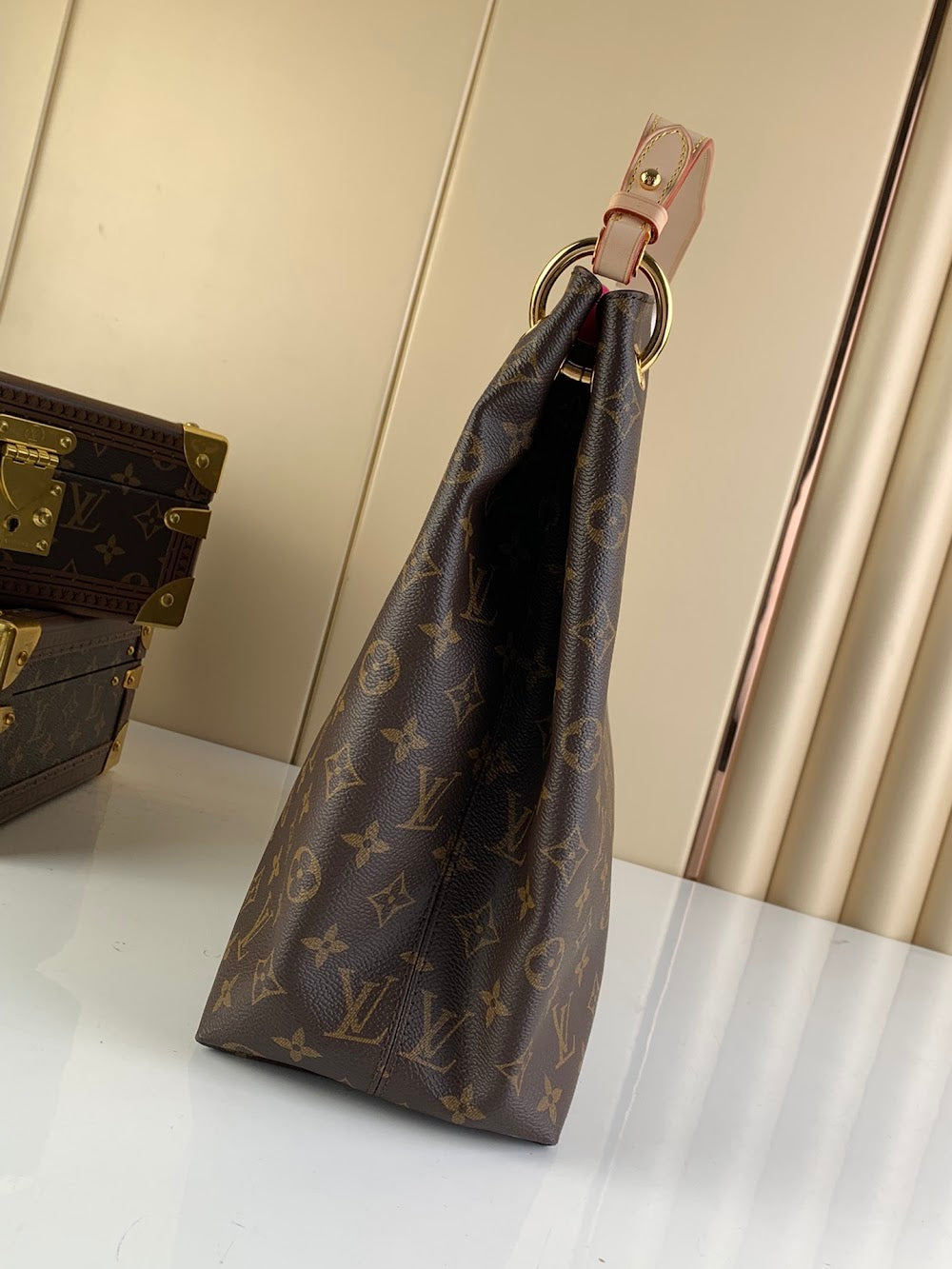 Dragons Bags ln Luxury Bag --58464