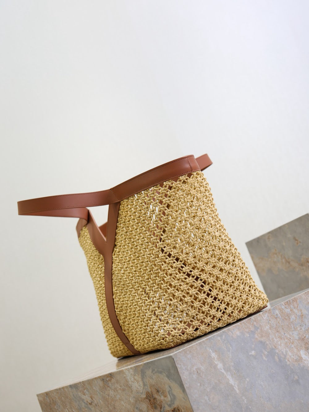 Dragons Bags YSLn Luxury Bag --119761