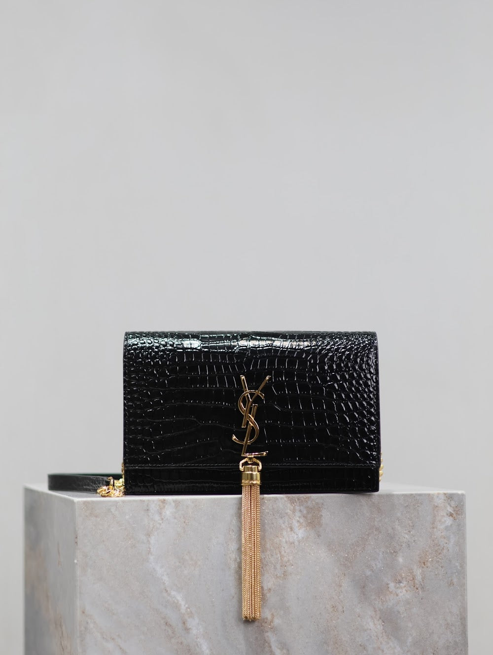 Dragons Bags YSLn Luxury Bag --119069