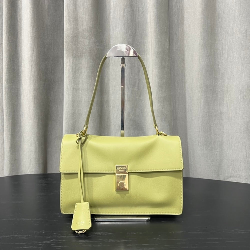 Dragons Bags Pradn Luxury Bag --101810
