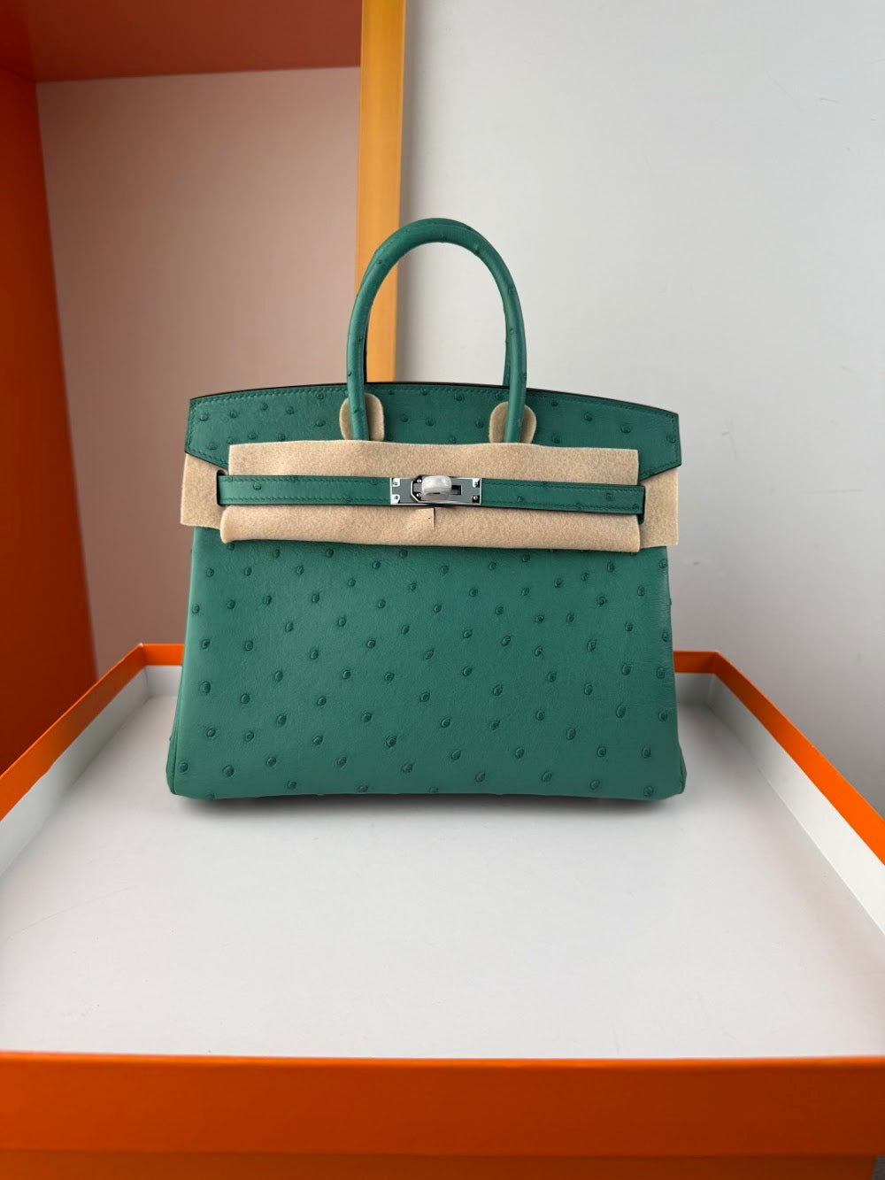 Dragons BagsHermesn Luxury Bag --116756