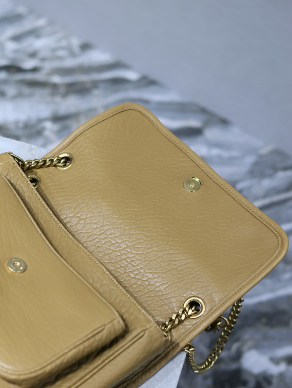 Dragons Bags YSLn Luxury Bag --119692