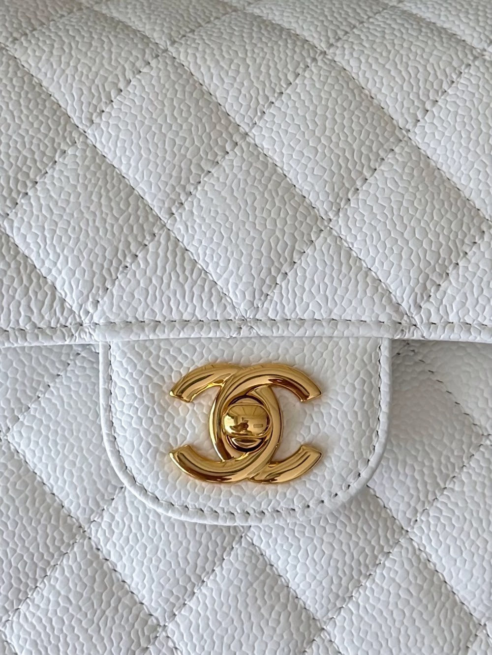 Dragons BagsCHn Luxury Bag --114098