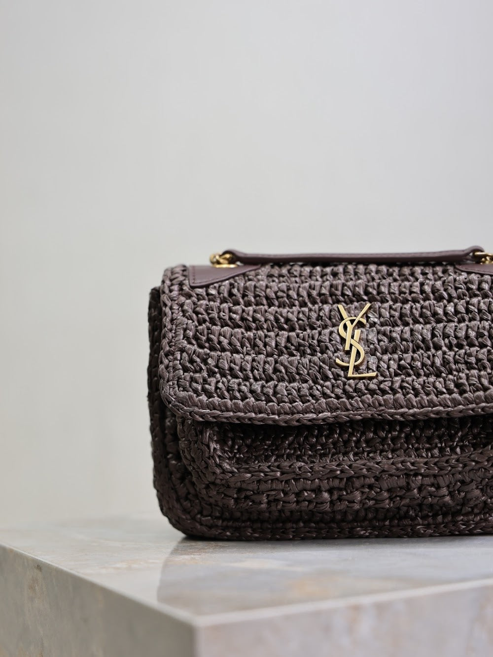 Dragons Bags YSLn Luxury Bag --119852