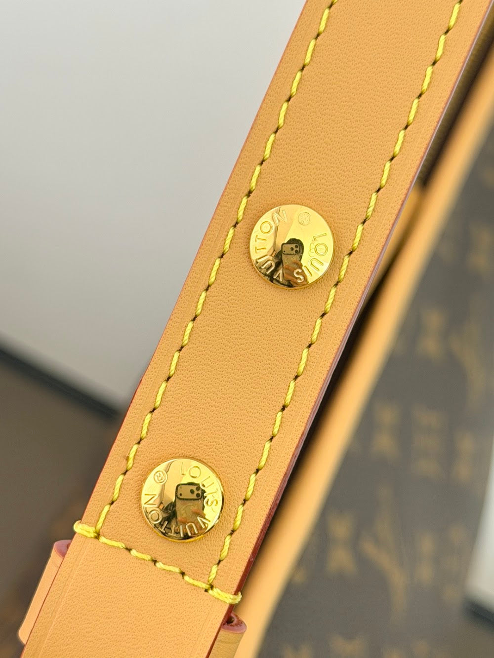 Dragons Bags ln Luxury Bag --96383