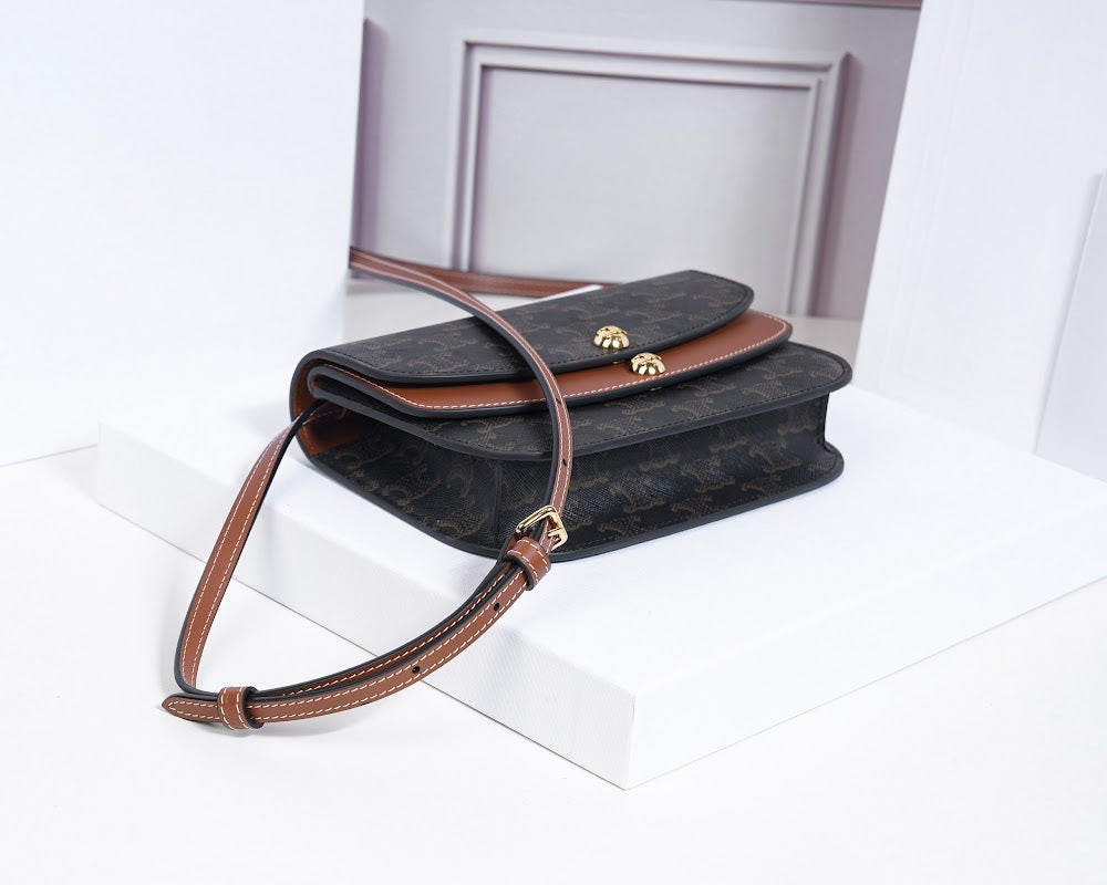Dragons Bags Celine Luxury Bag --112596