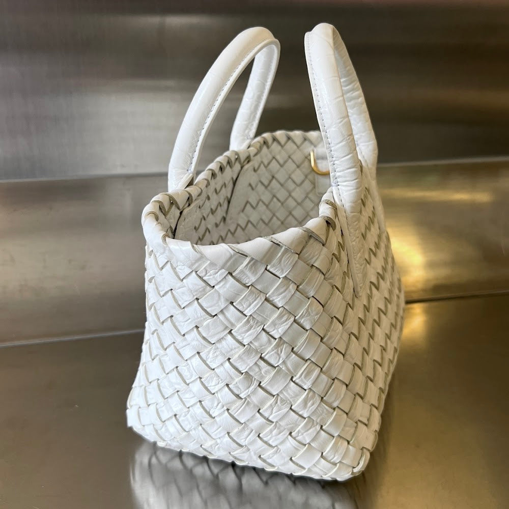 Dragons Bags Bottegan Luxury Bag --90701