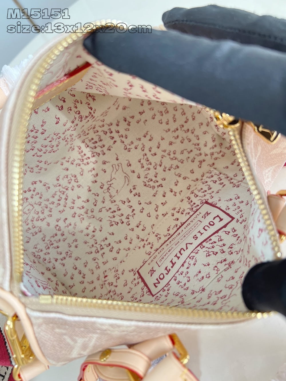 Dragons Bags ln Luxury Bag --96983