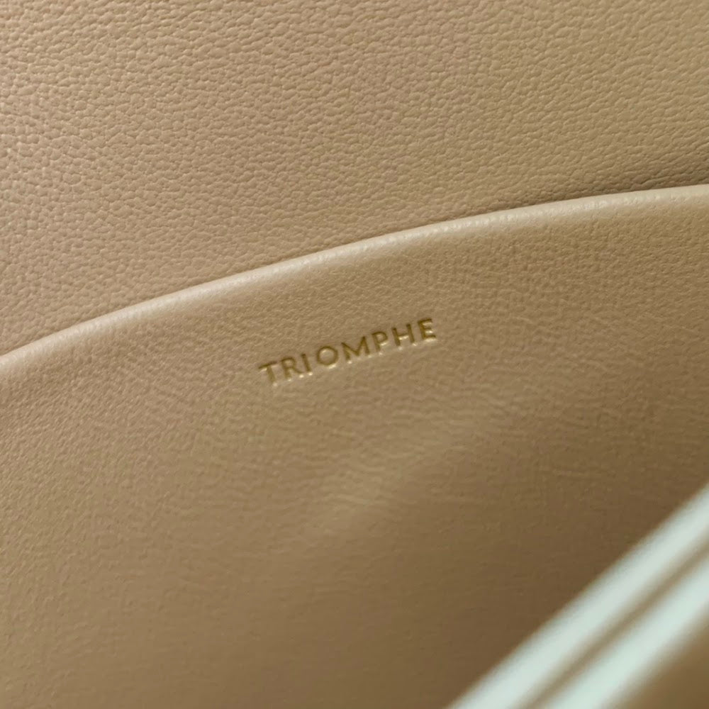 Dragons Bags Celine Luxury Bag --111983