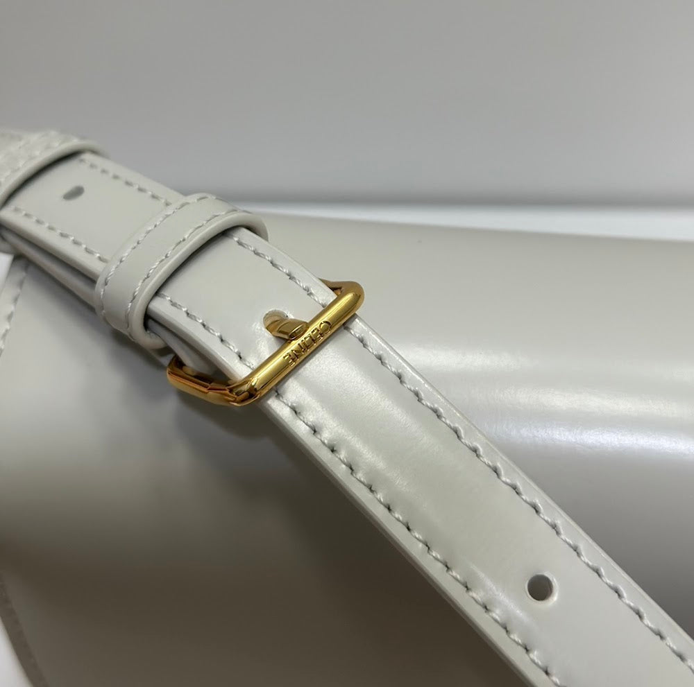 Dragons Bags Celine Luxury Bag --111998