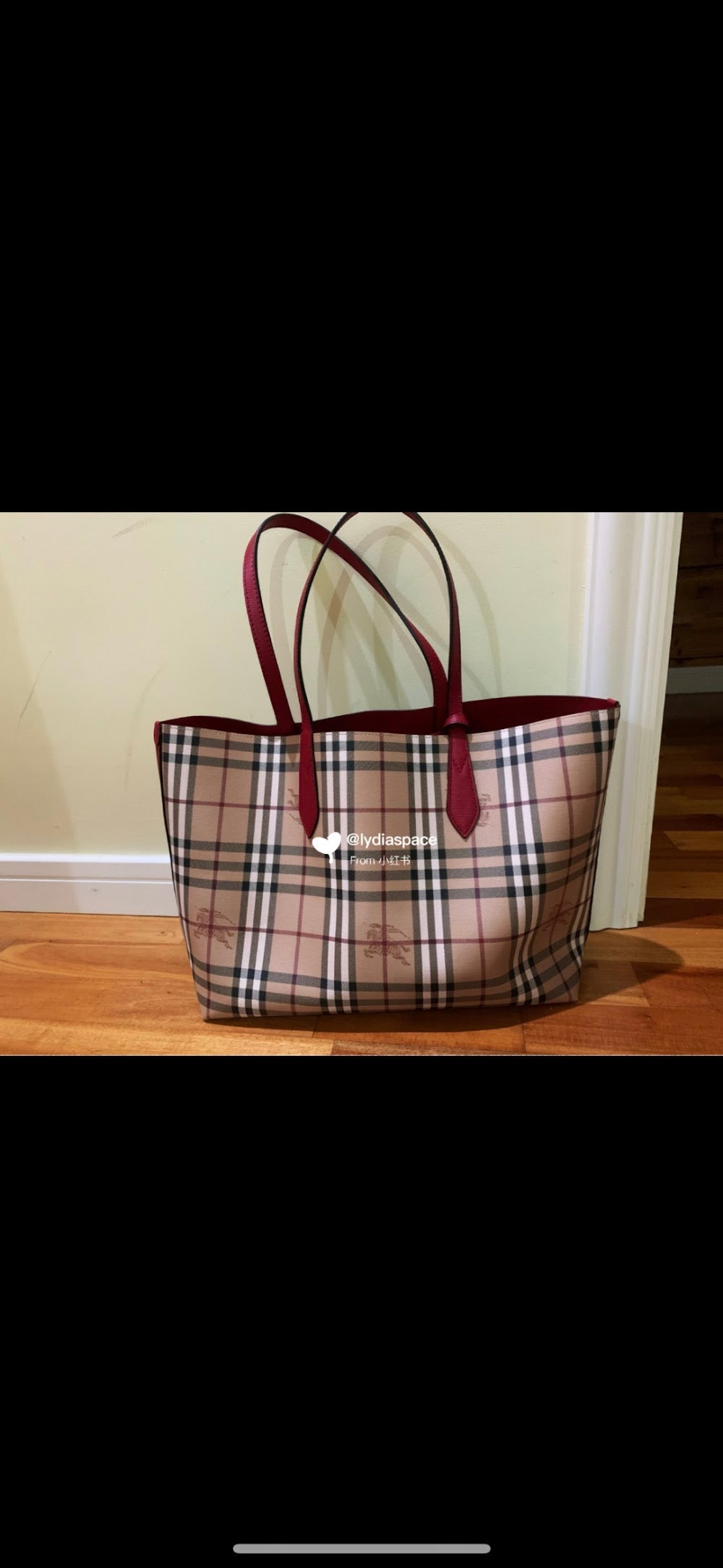 Dragons Bags Burberryn Luxury Bag --91686