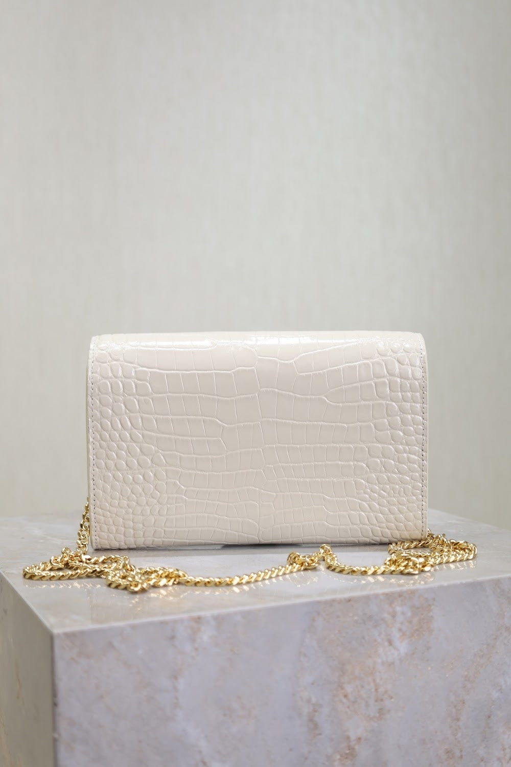 Dragons Bags YSLn Luxury Bag --120587