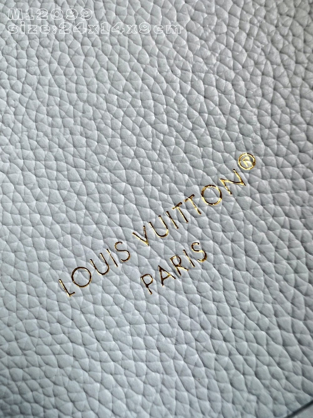 Dragons Bags ln Luxury Bag --96599