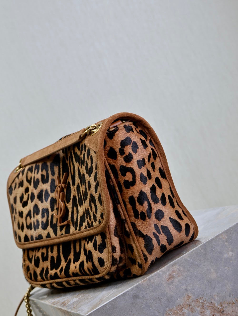 Dragons Bags YSLn Luxury Bag --119649