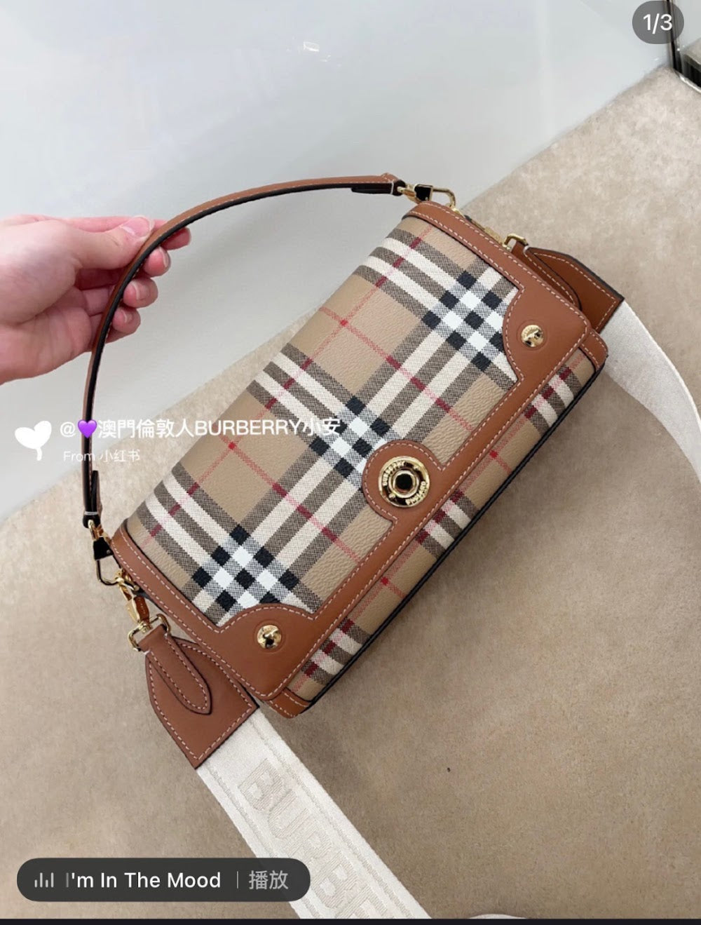 Dragons Bags Burberryn Luxury Bag --92604