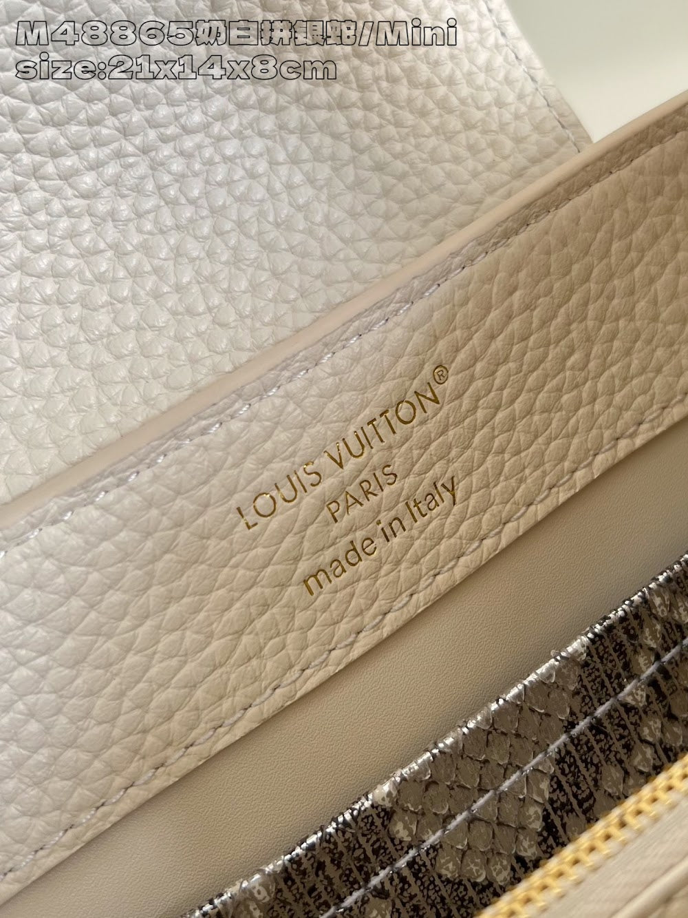 Dragons Bags ln Luxury Bag --95899
