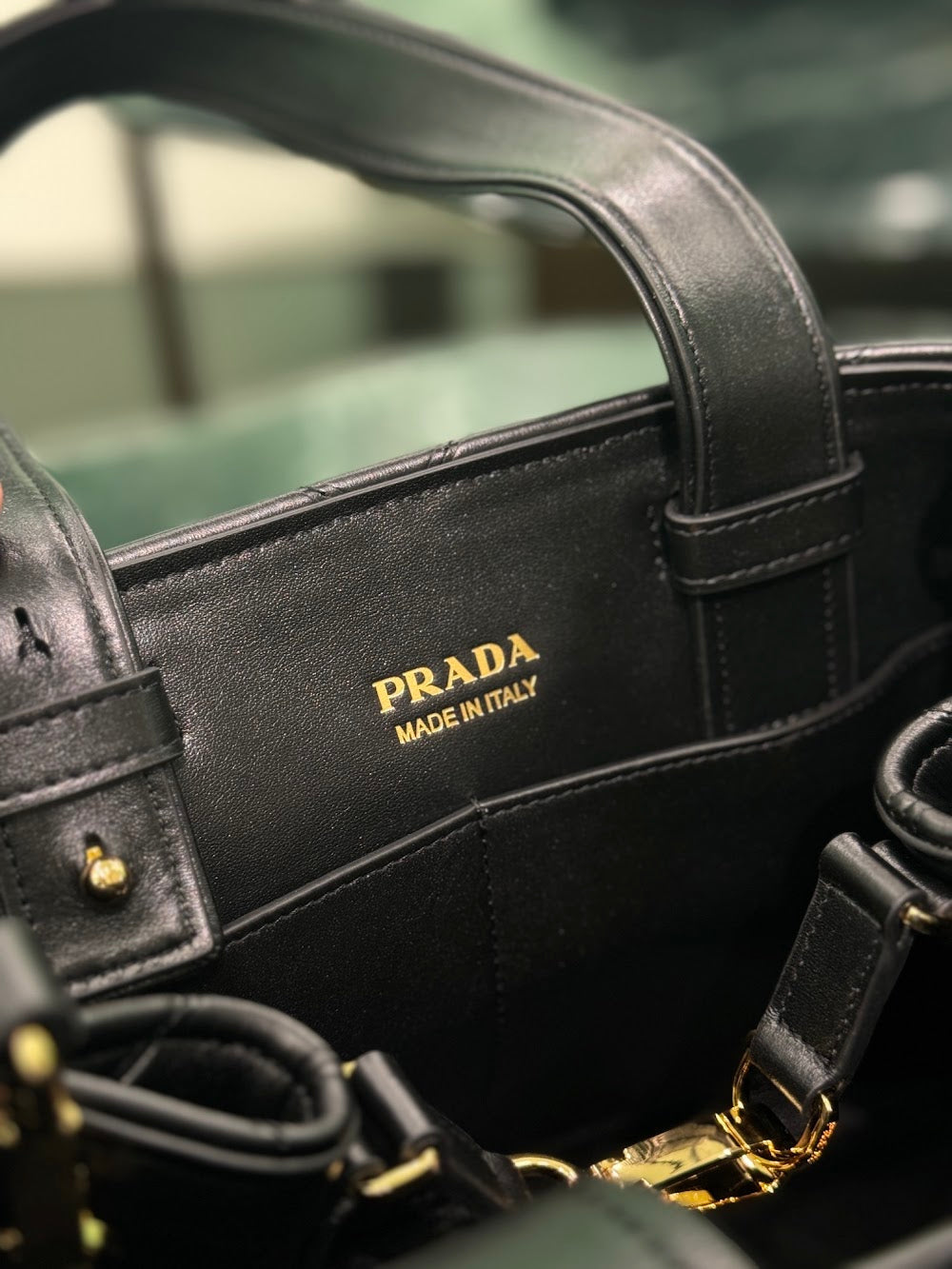 Dragons Bags Pradn Luxury Bag --102962
