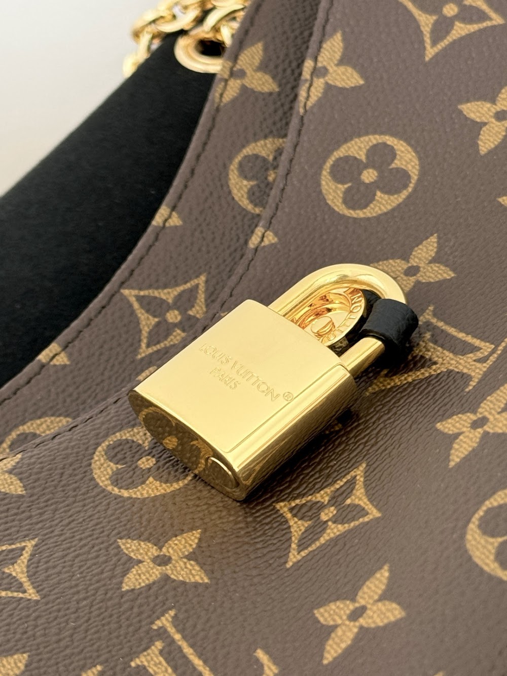 Dragons Bags ln Luxury Bag --96289