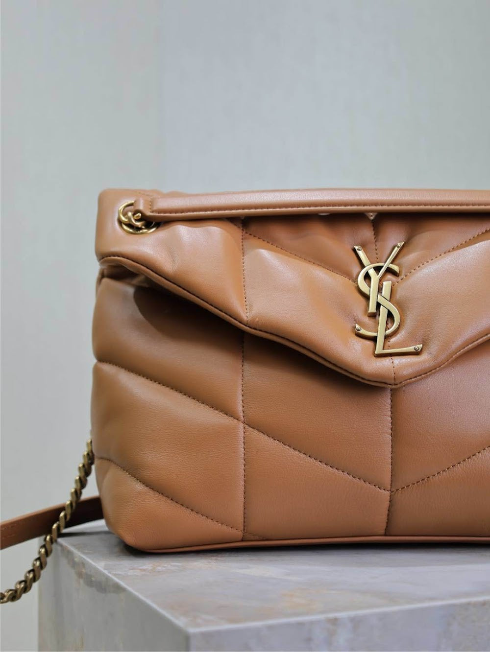 Dragons Bags YSLn Luxury Bag --119432
