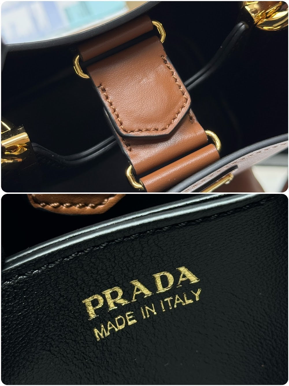 Dragons Bags Pradn Luxury Bag --101896