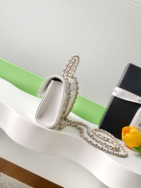 new-luxury-designer-bags-nm9766