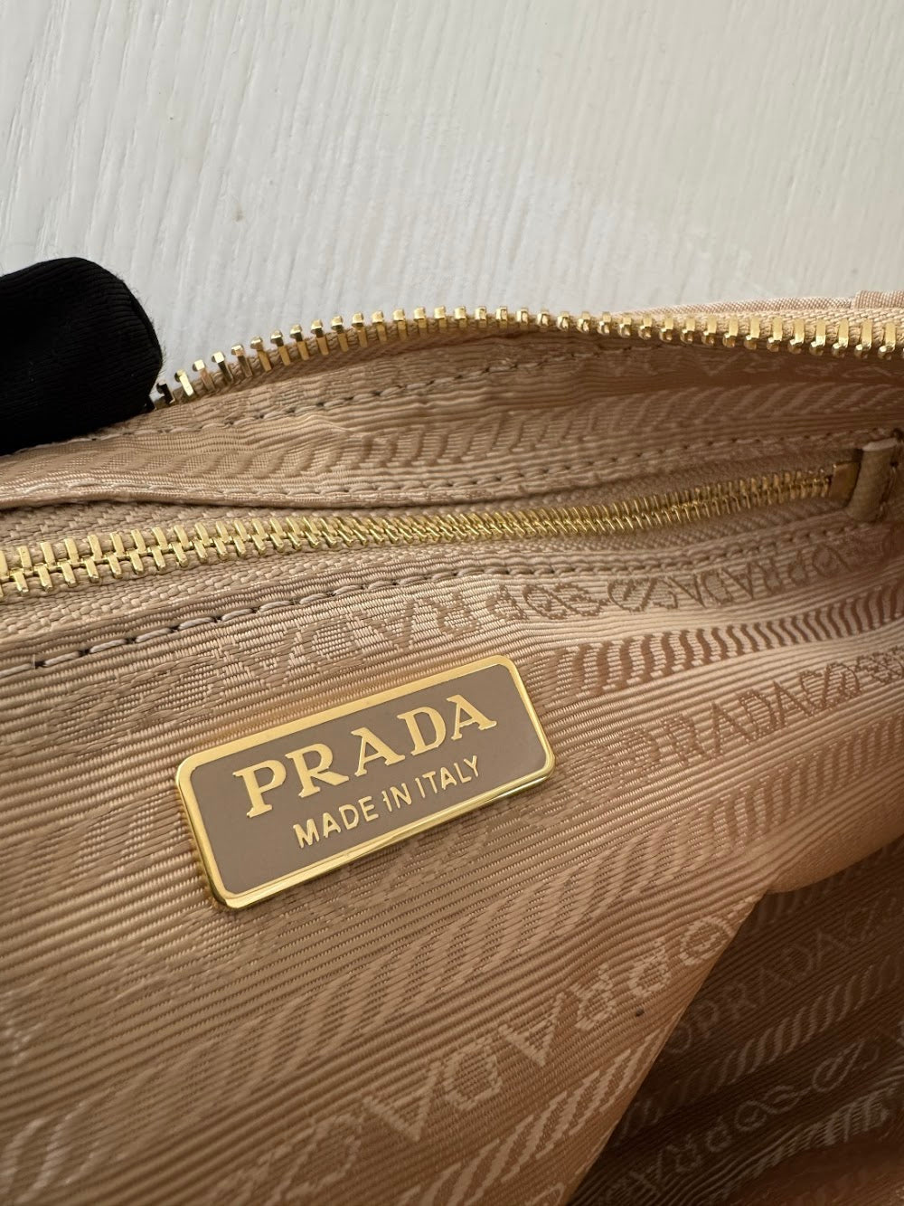 Dragons Bags Pradn Luxury Bag --102944
