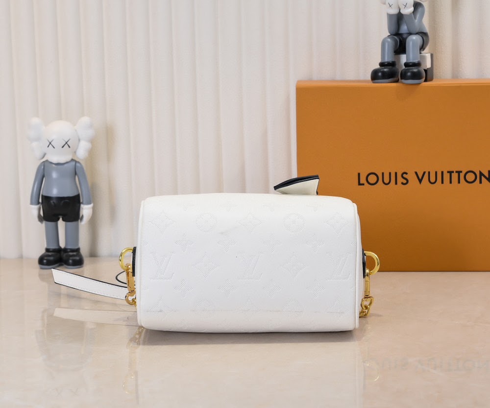 Dragons Bags LVn Luxury Bag --80127