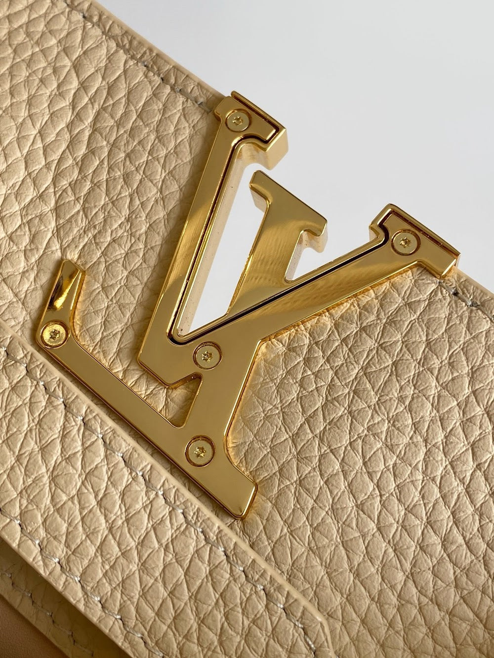 Dragons Bags ln Luxury Bag --97596