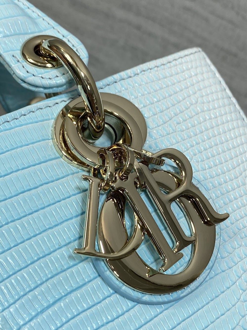 Dragons BagsDiorn Luxury Bag --115144