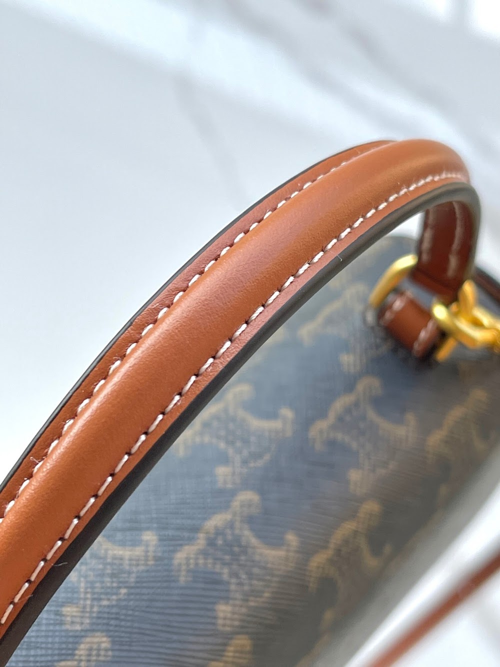 Dragons Bags Celine Luxury Bag --112312