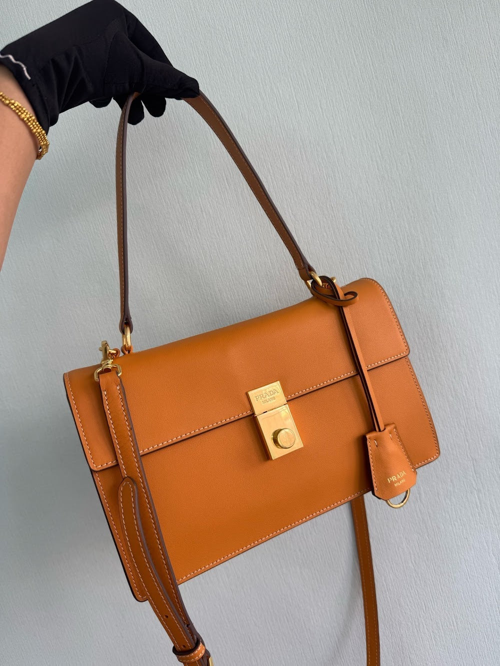 Dragons Bags Pradn Luxury Bag --102541
