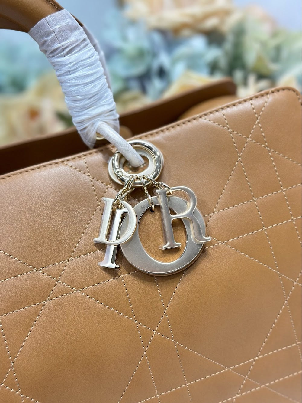 Dragons BagsDiorn Luxury Bag --115573