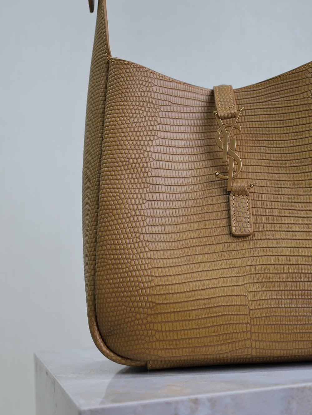 Dragons Bags YSLn Luxury Bag --119205
