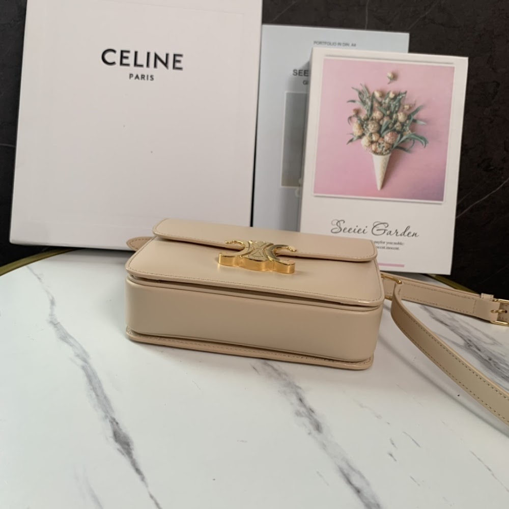 Dragons Bags Celine Luxury Bag --111983