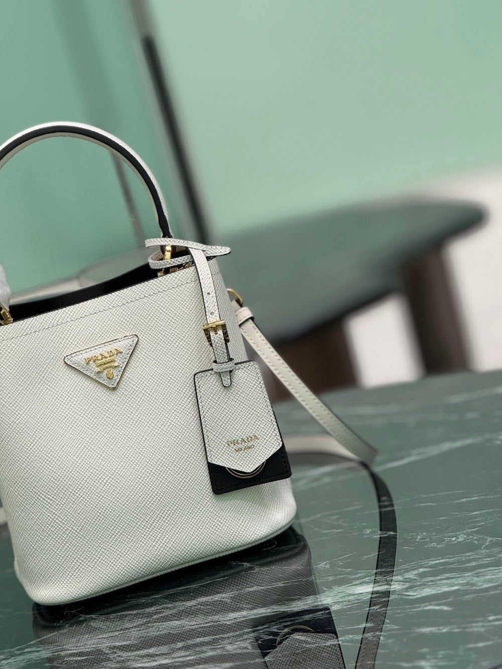 Dragons Bags Pradn Luxury Bag --102112
