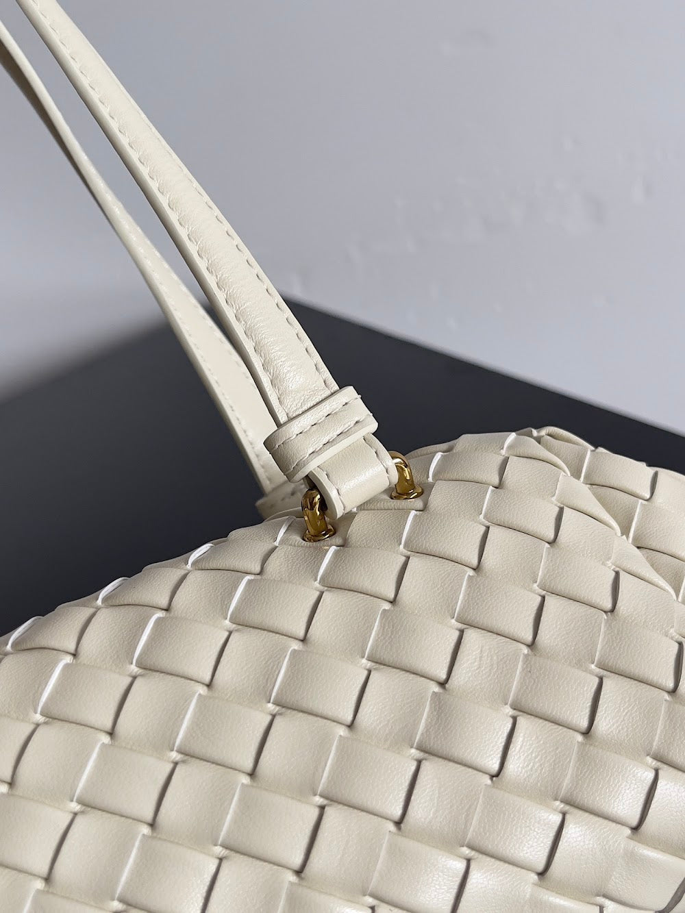 Dragons Bags Bottegan Luxury Bag --91152