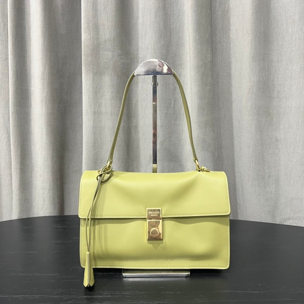 Dragons Bags Pradn Luxury Bag --101810